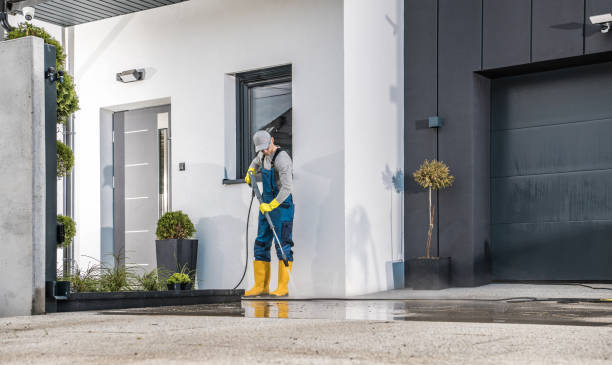 Best Paint Preparation  in Maysville, MO